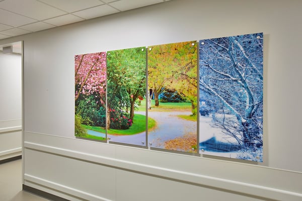 Image of a tree in each season