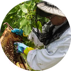 sustainability--take-back-beehives-1