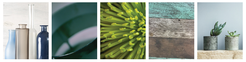 Image tiles showing design inspiration for Inpro’s 2020 Balance Palette including botanicals, and elements of glass and stone, wood and sky.