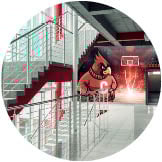 Printed Wall Protection