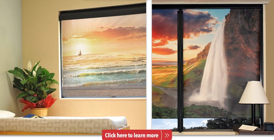 Nature scenes on WebbLok™ and WebbGlide™ Printed Roller Shades.