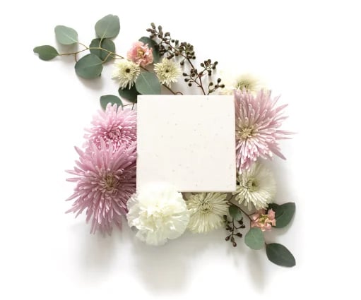 daydreamblog-bioprism