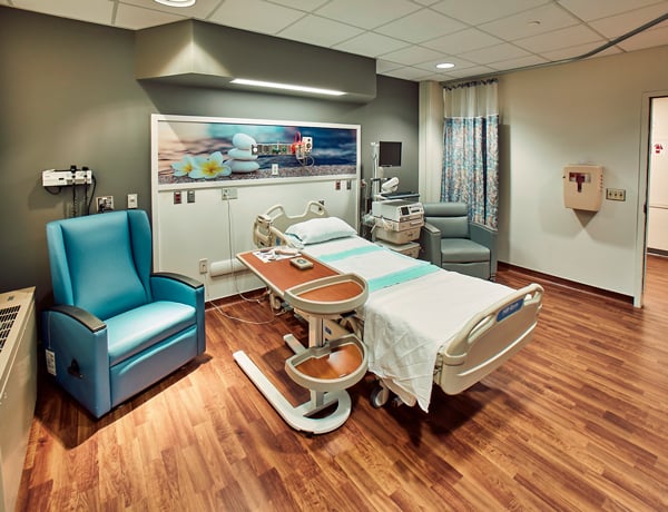 Patient room in a healthcare space with biophilic designs of wall protection with nature-inspired imagery.