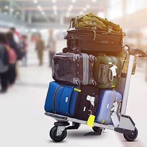 luggage-cart