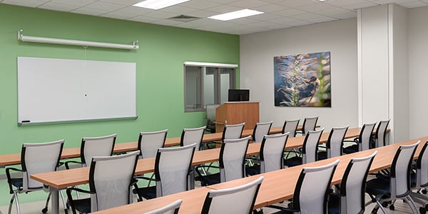 biophilia-in-education-benefits