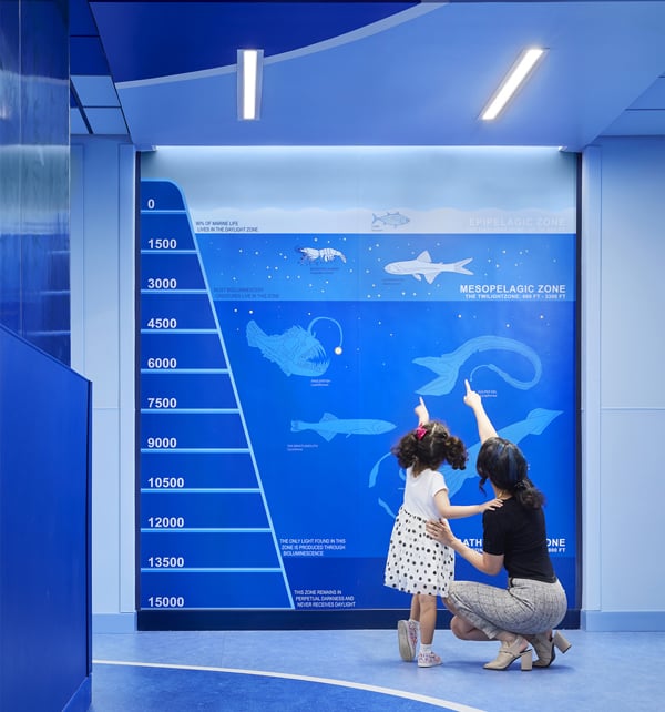 Children's National Hospital Aspex Printed Wall Protection image of deep sea creatures