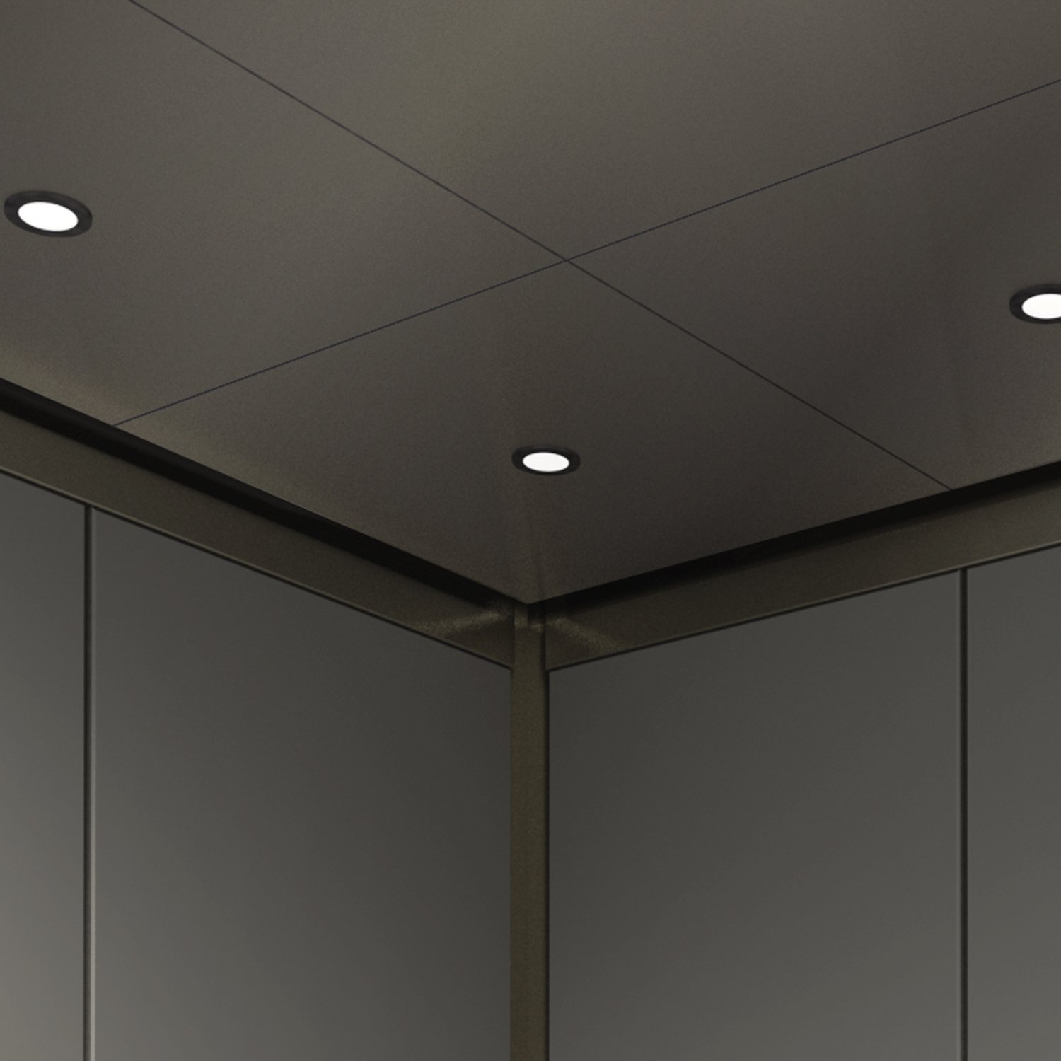 1-Cab-Ceiling-Multipan.jpg