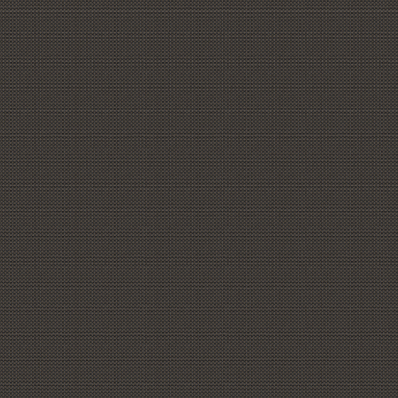 243-French Roast.png