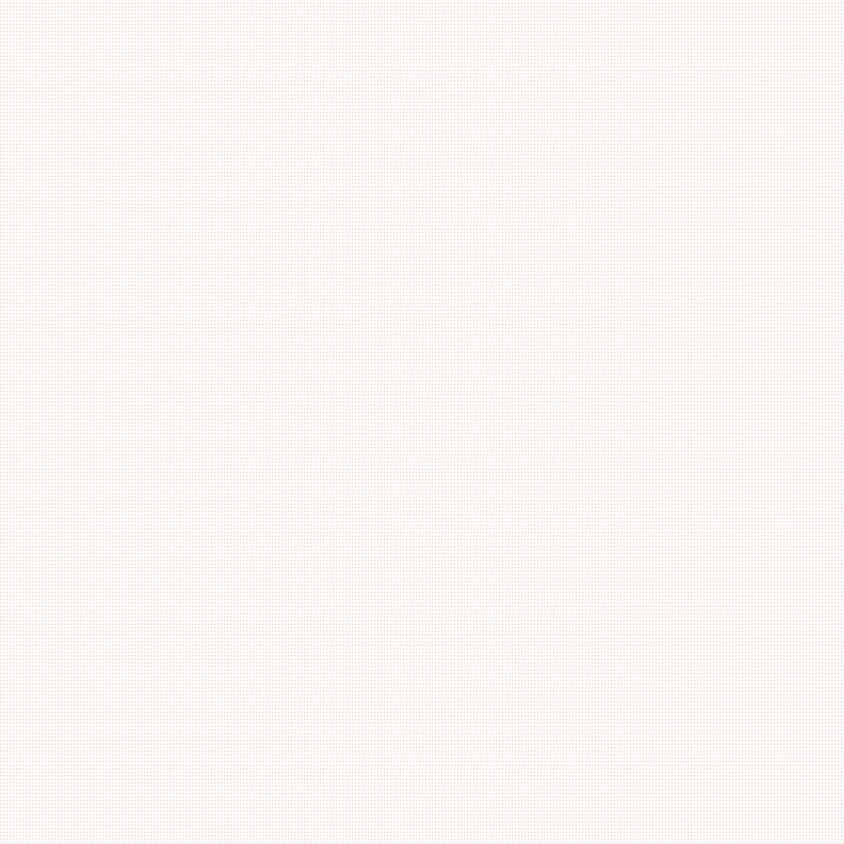 245B_White.png