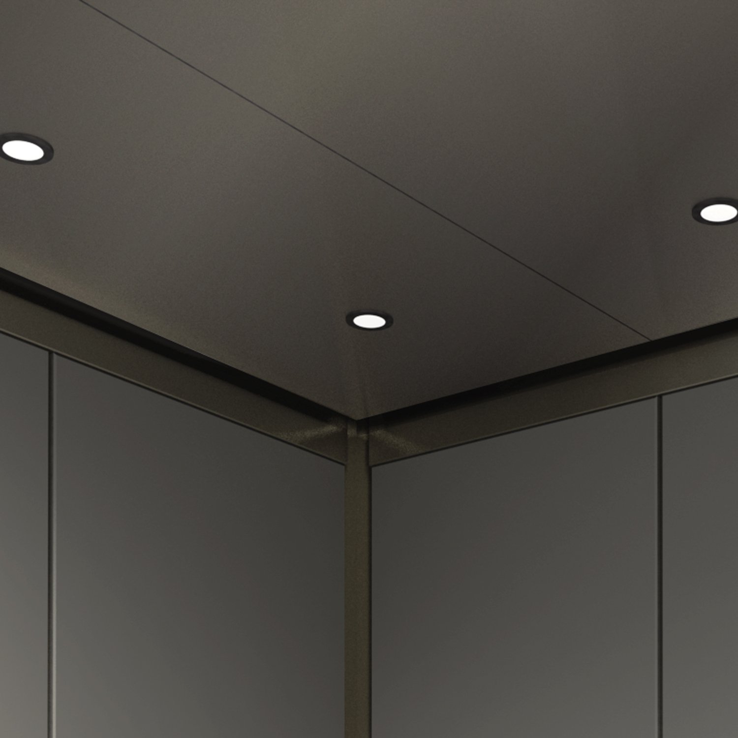 3-Cab-Ceiling-Stainless-Steel.jpg