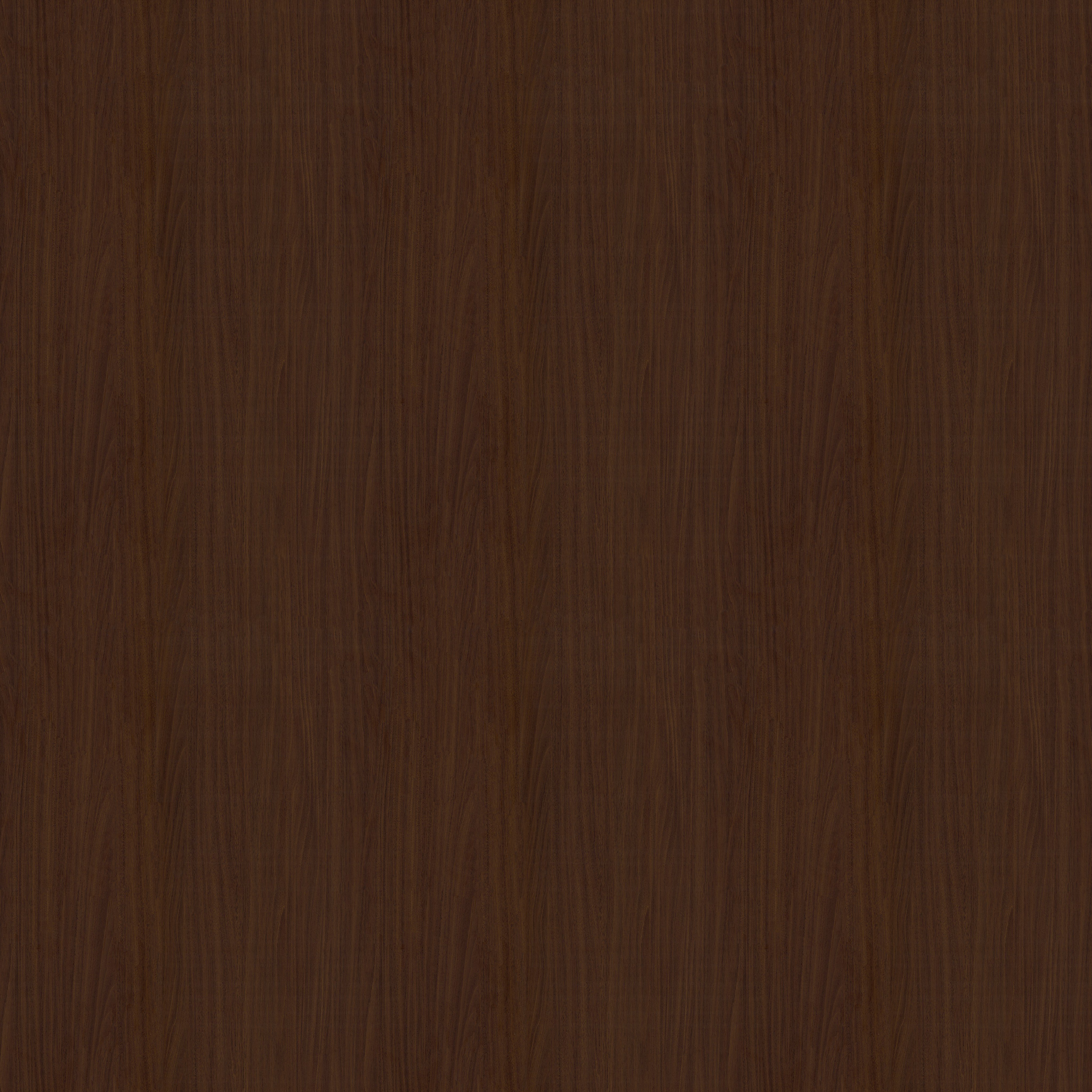 AmericanWalnut.jpg