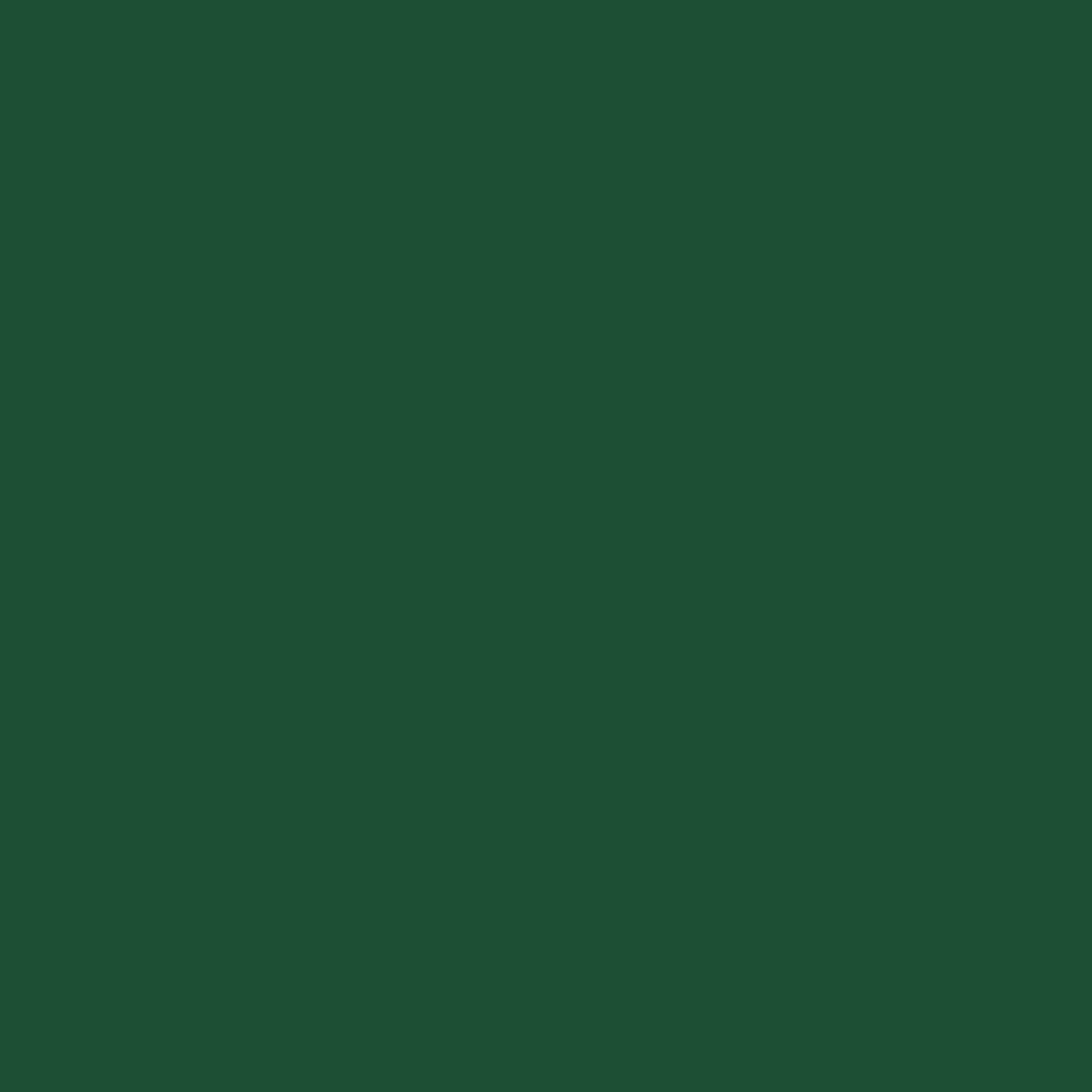 Forest 0150.jpg