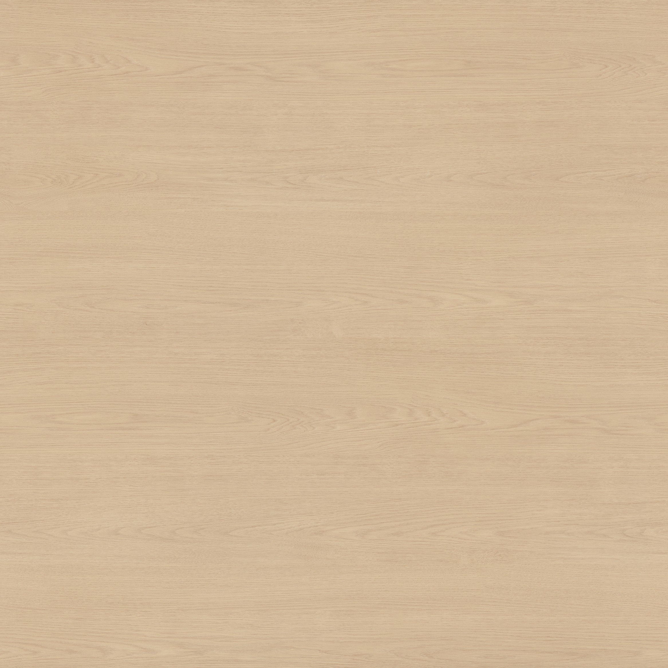 Pale Oak 5E084.jpg