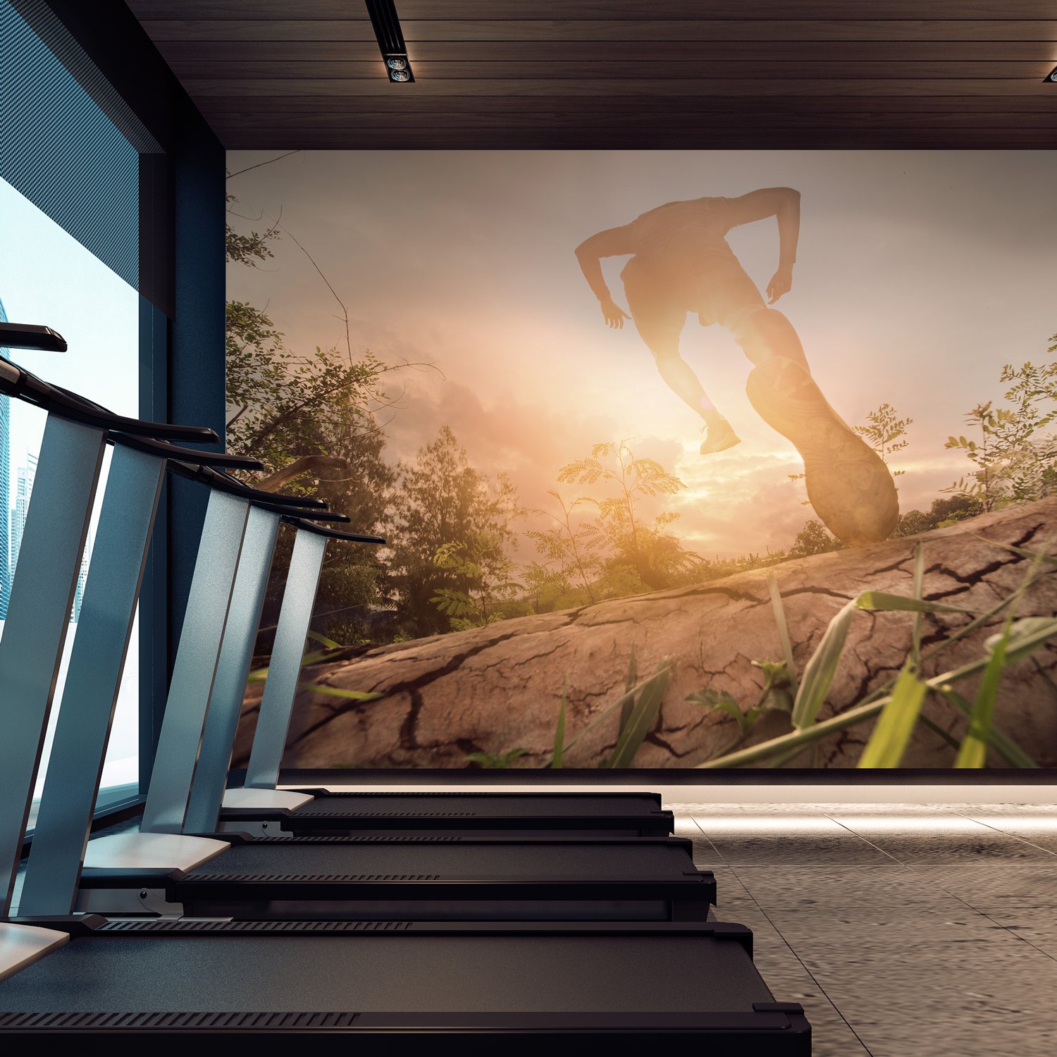 Aspex printed wall art runner in a fitness center