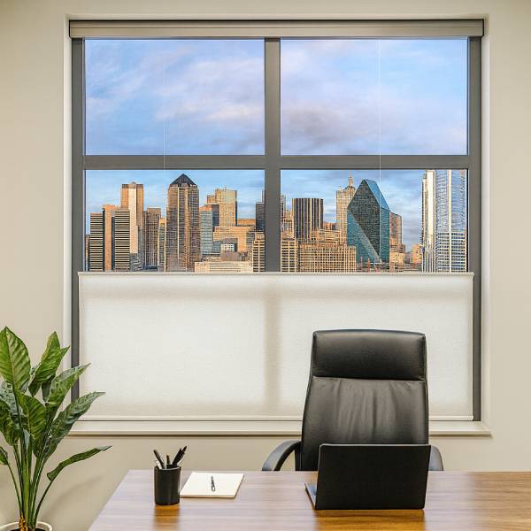 bottom-up-and-skylight-shades-1a963476.jpg