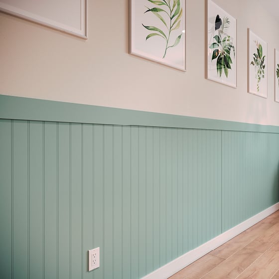 Palladium® 3D Trim - with Palladium® Rigid Sheet Beadboard Wall Protection