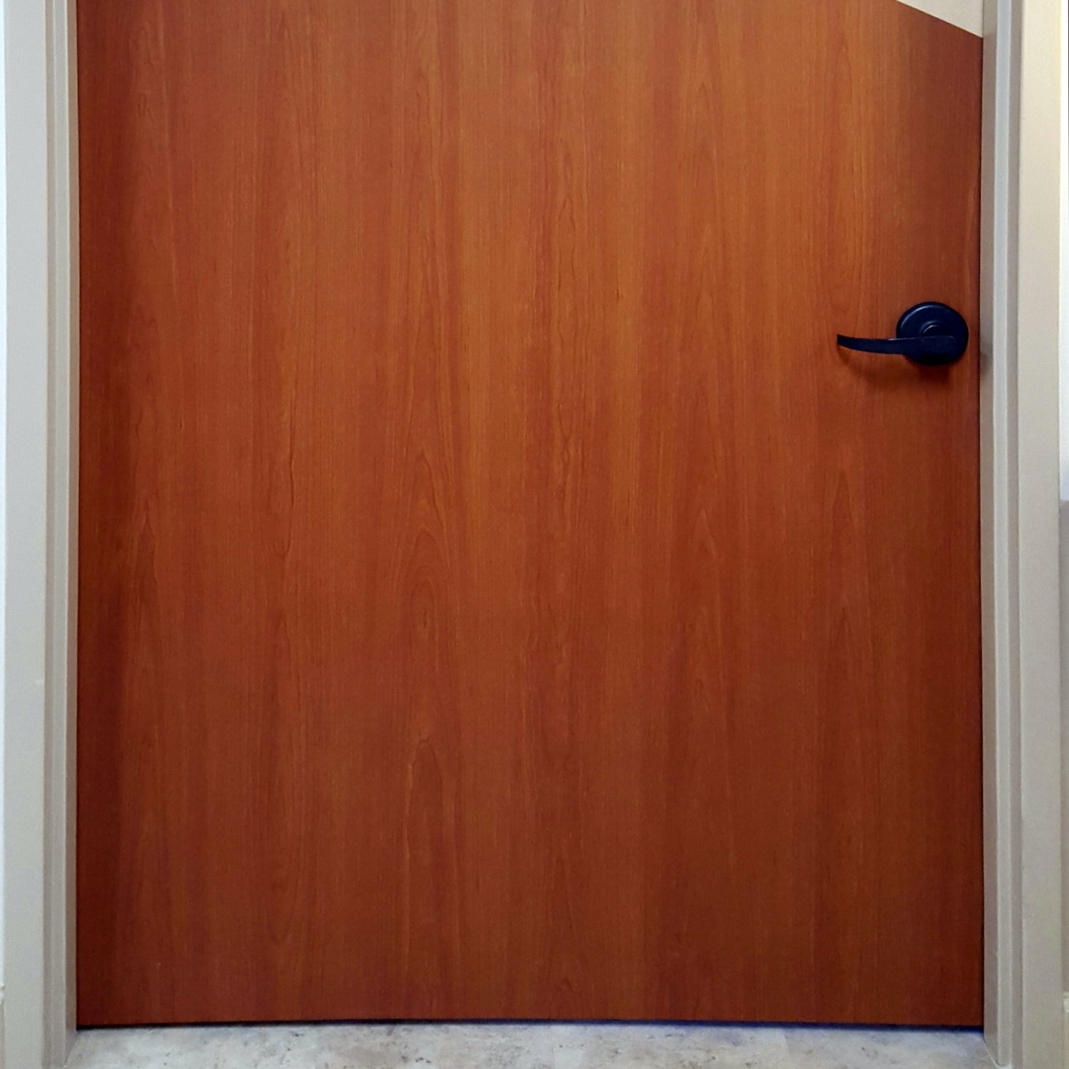 Close up view of Palladium Door