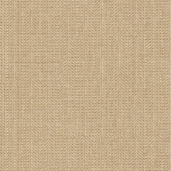 tweed---sunday-walk-_-r2508.jpg