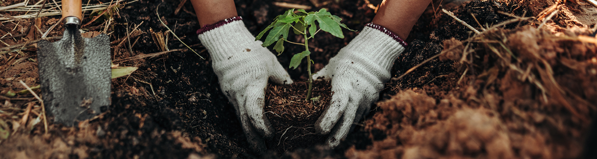 Sustainability |Achieved 56% Waste Diversion!