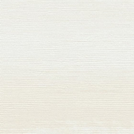 Warm White