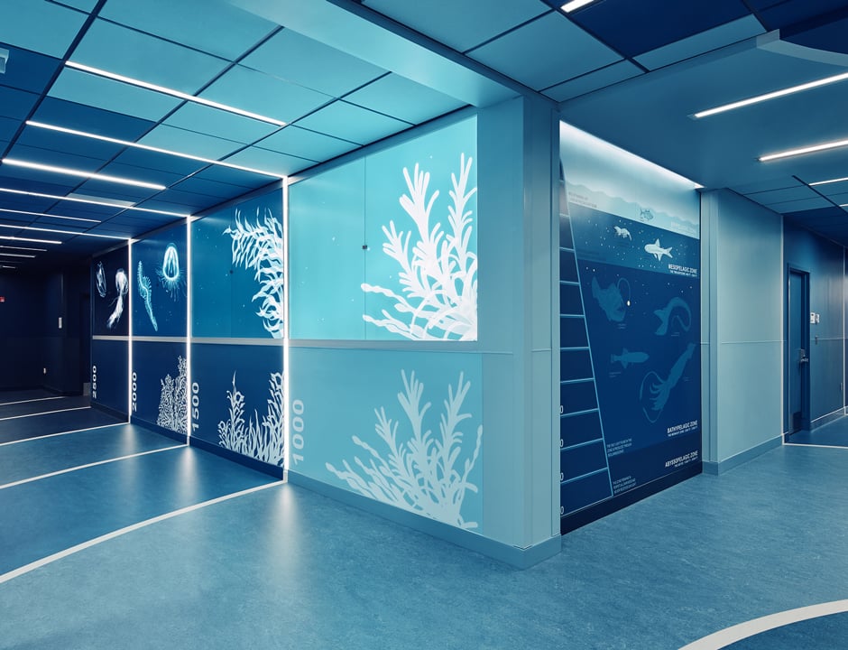 Children's National Health System