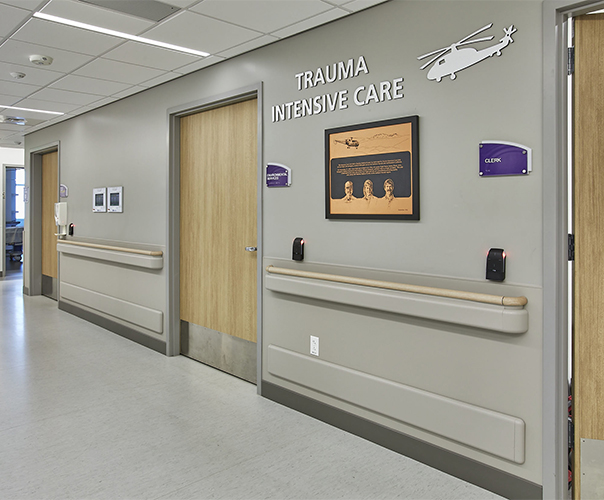 Door and Wall Protection Products