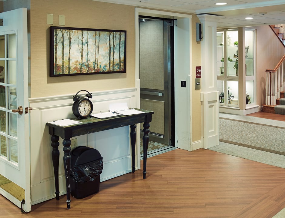 The Pines of Mount Lebanon